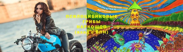 прущая мука Алзамай
