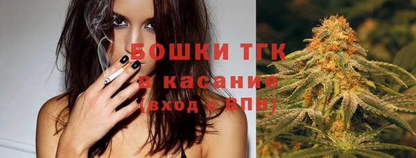 PSILOCYBIN Абаза
